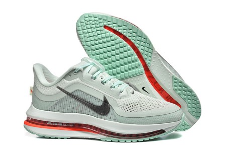 나이키 페가수스 프리미엄 Nike Pegasus Premium  NK26322-2  남/여