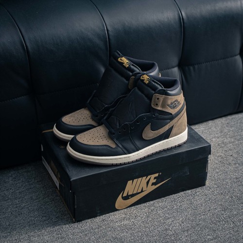 나이키 에어조던 1 하이 Nike Air Jordan 1 High DZ5485-020 남/여