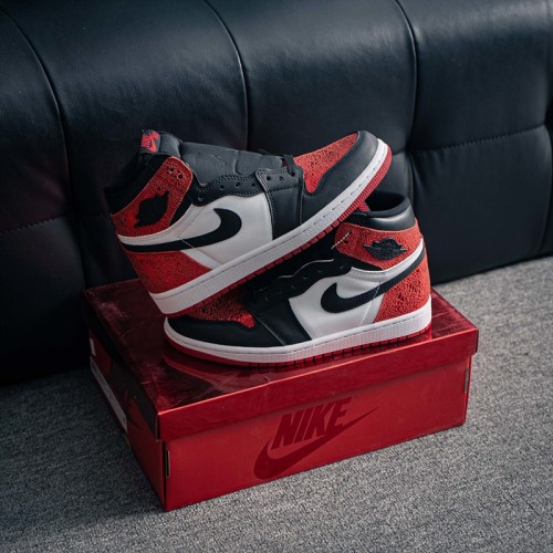 나이키 에어조던 1 하이 Nike Air Jordan 1 High FD2596-602 남/여